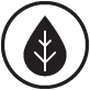 image of leaf