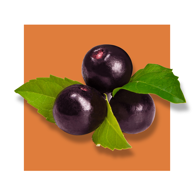 image of acai berries