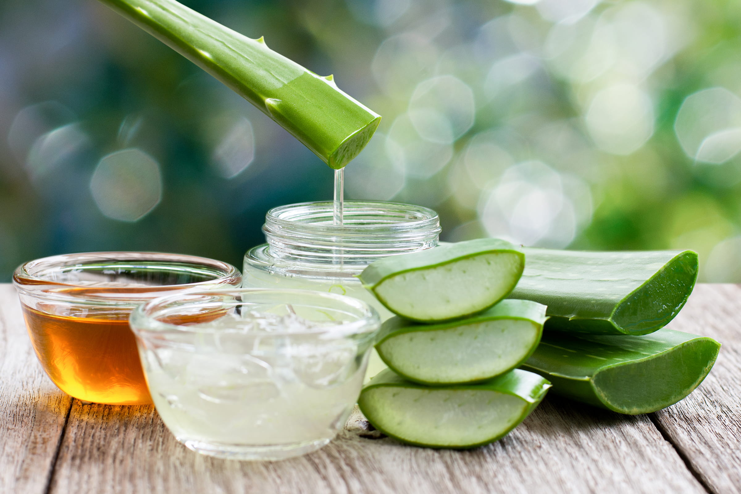 image of aloe