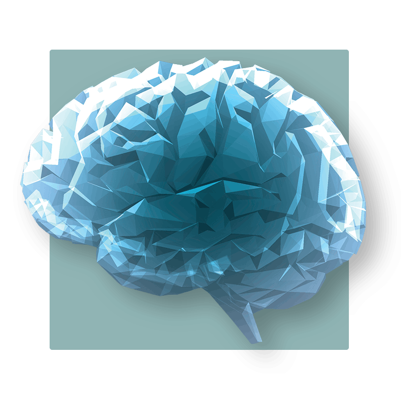 image of a brain