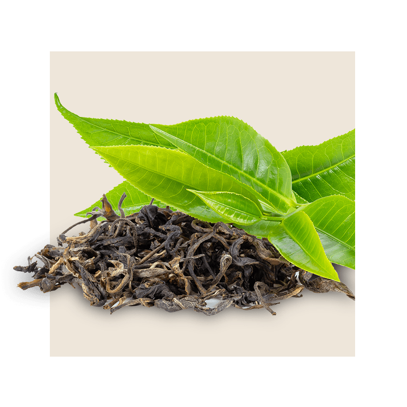 圖片：紅茶茶葉