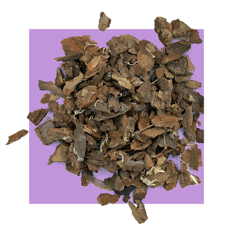 image of pine bark