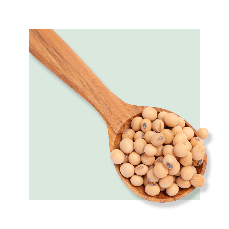 image of Soy Isoflavones