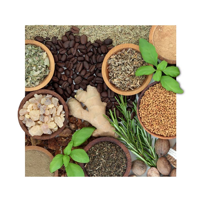 image of adaptogens