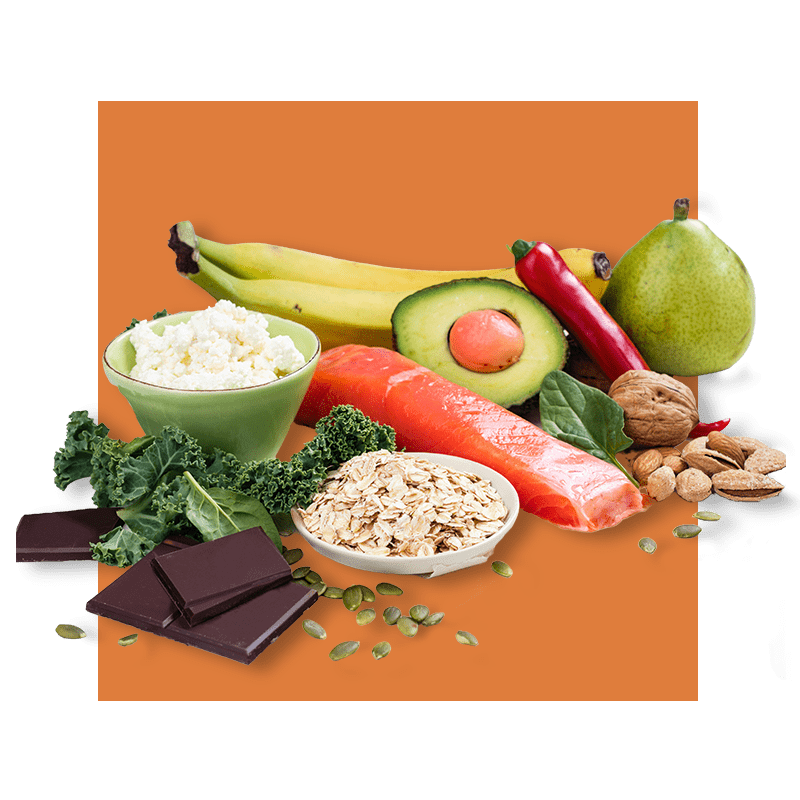 image of foods containing high amino acid content