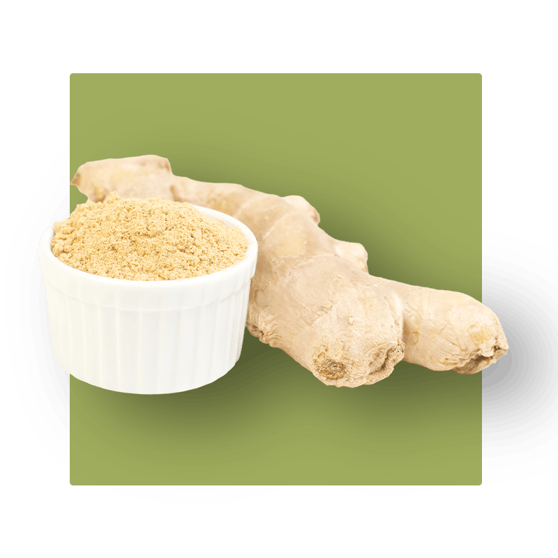 image of ginger root and powder