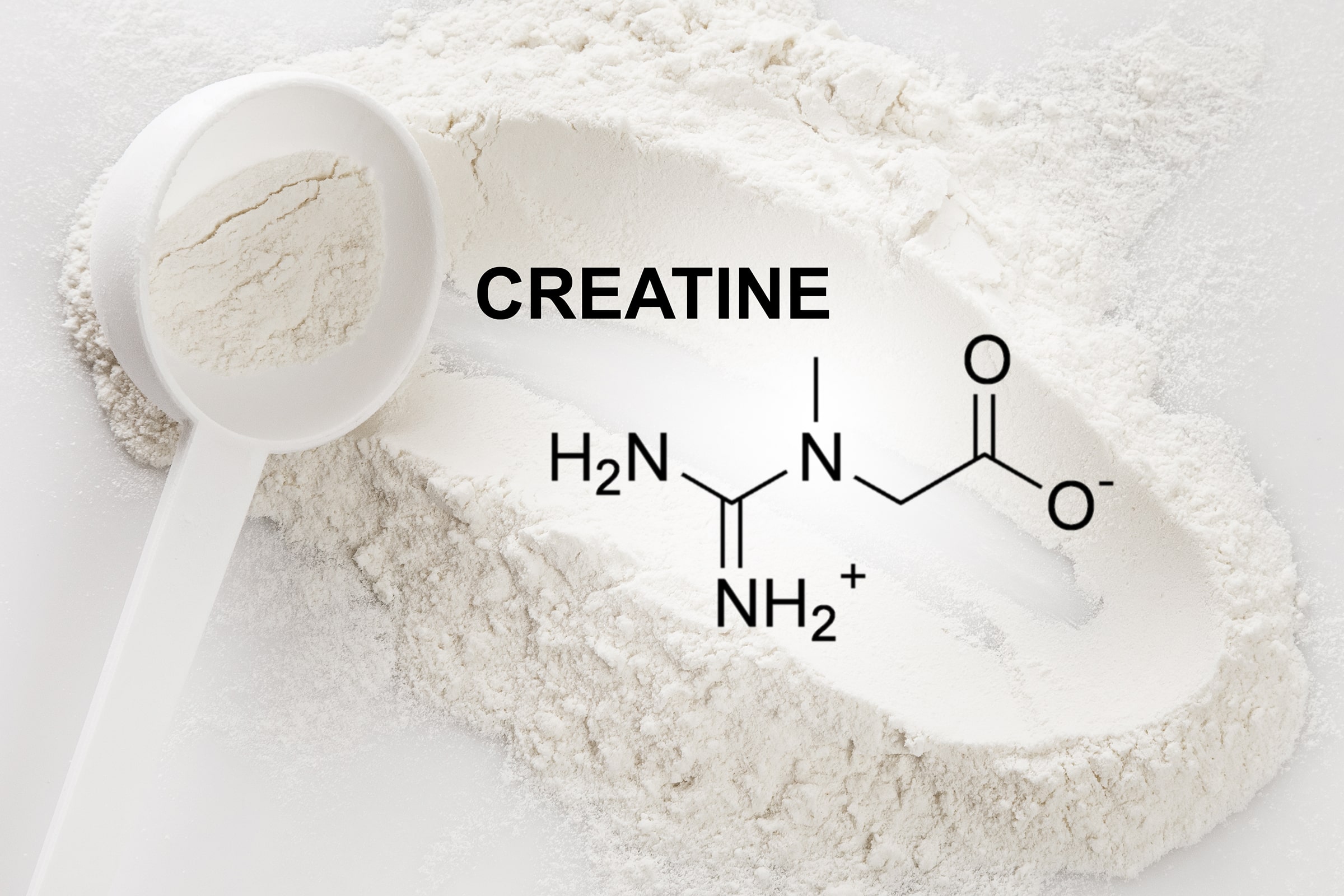 image of creatine powder