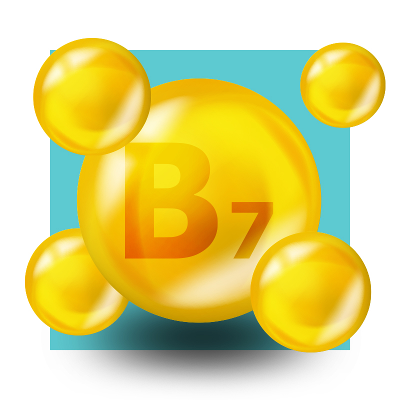 image of biotin molecule