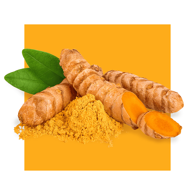 image of turmeric