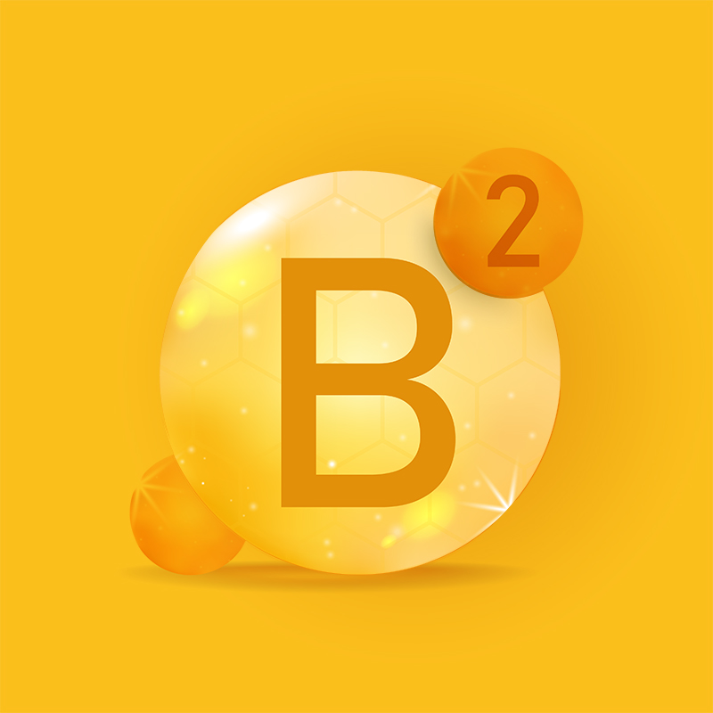 image of circle with B2 on it