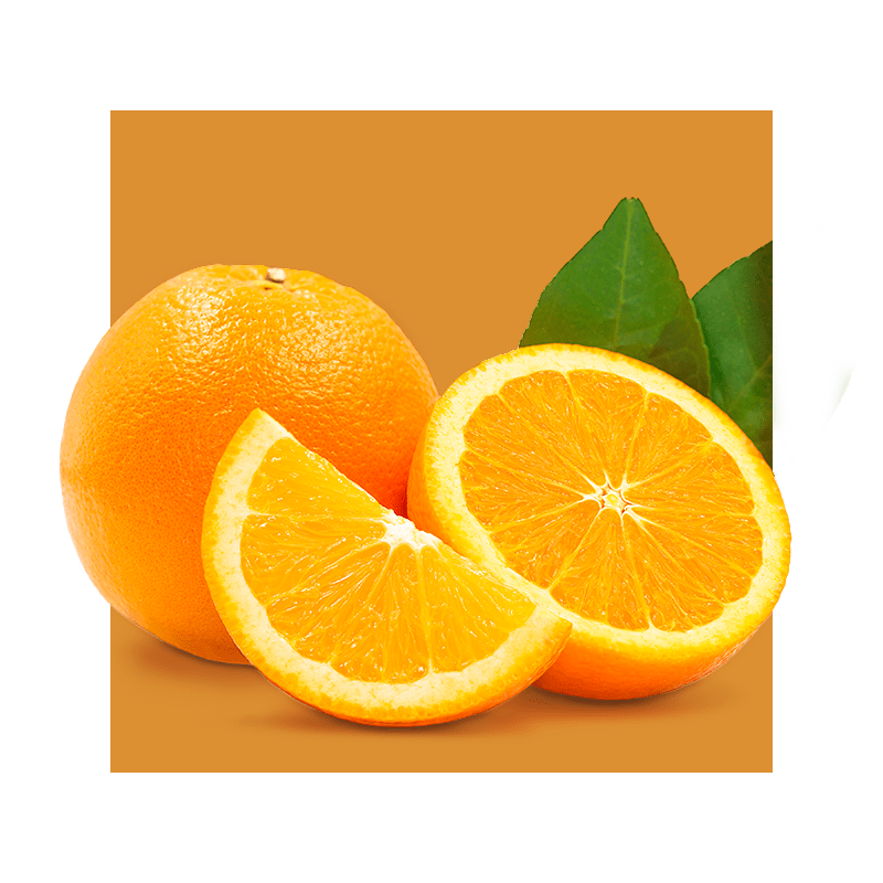 image of orange slices