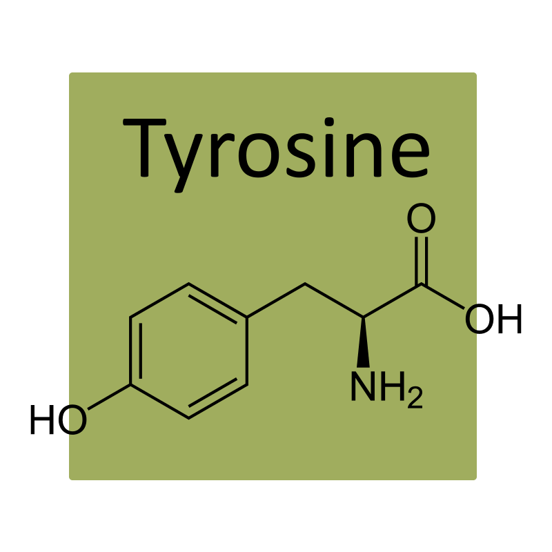 image of chemical structure of tyrosine