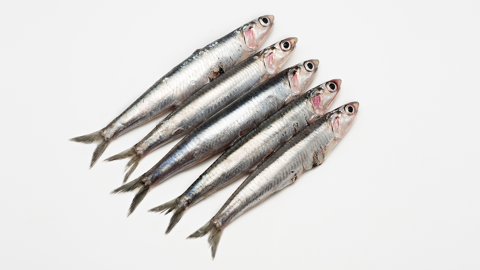 image of a woman holding a tin of fish and gel capsules