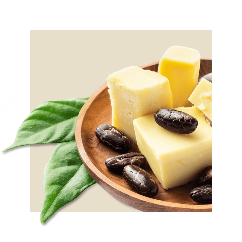 Cocoa beans and butter on wood plate