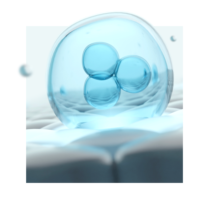 image of a cell
