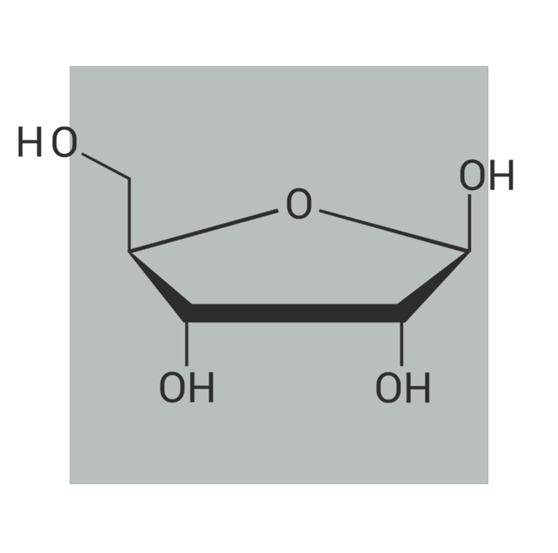 image of molecular structure of d-ribose