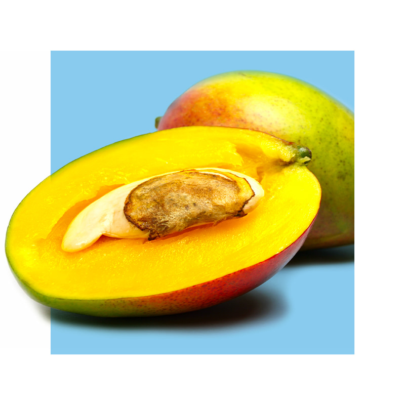 image of African Mango