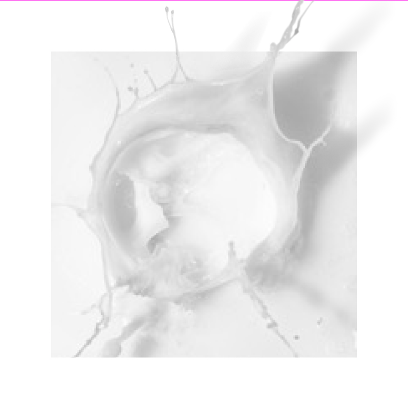 Saccharomyces Ferment