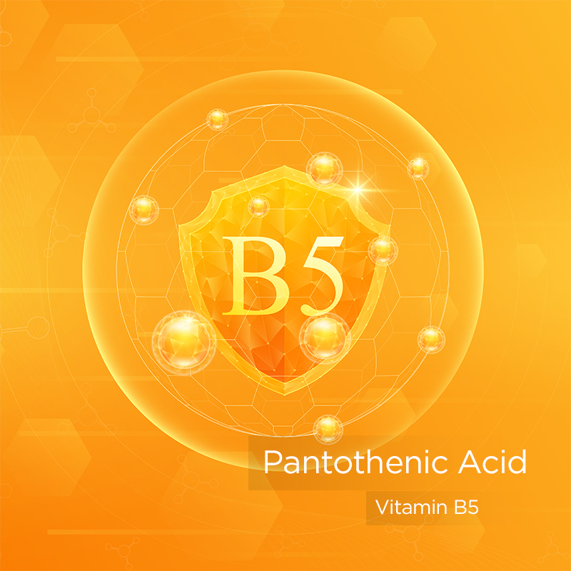 image with text B5 - Pantothenic Acid - Vitamin B5