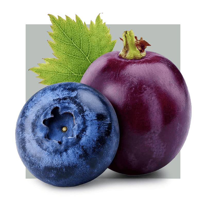 image of blueberry and grape