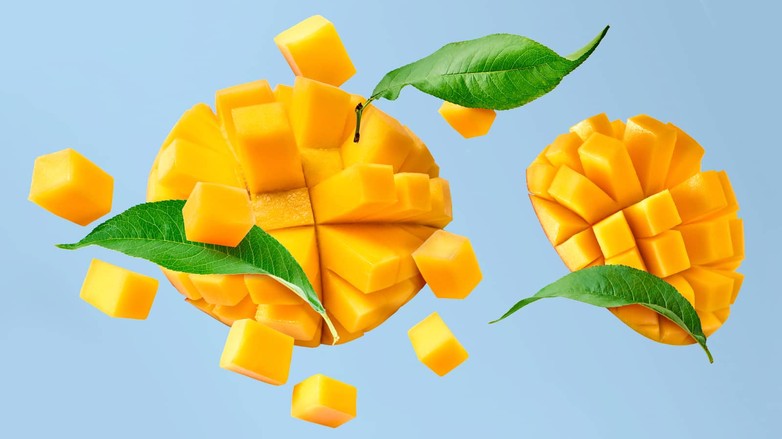 image of African Mango