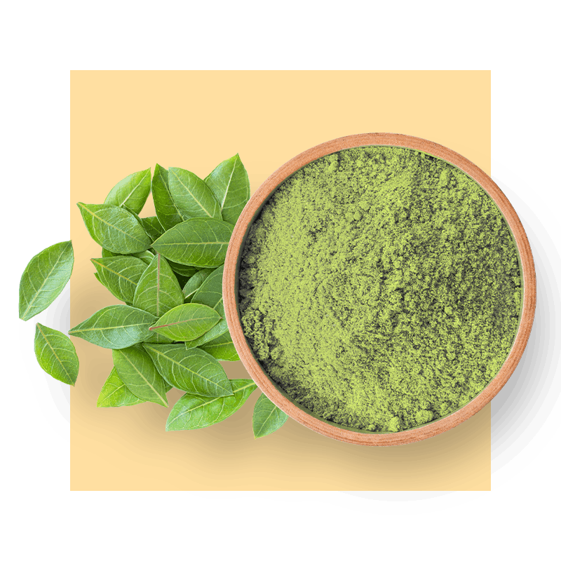 Camellia sinensis (Green Tea) Extract