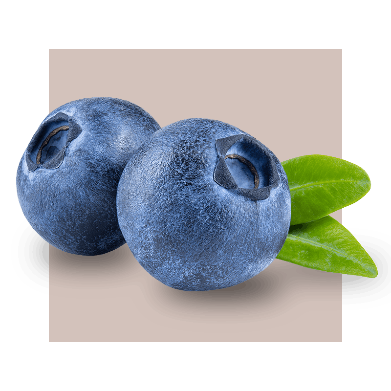 image of bilberries