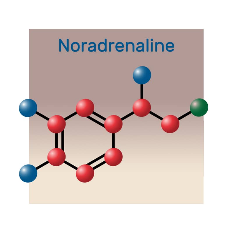 image of noradrenalin molecular compound