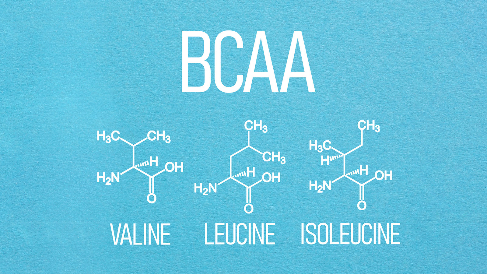 image of Essential Amino Acids