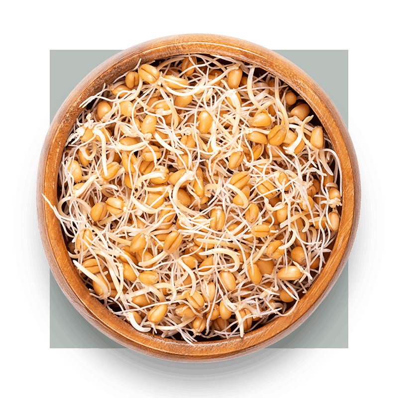 image of wooden bowl full of wheat germ
