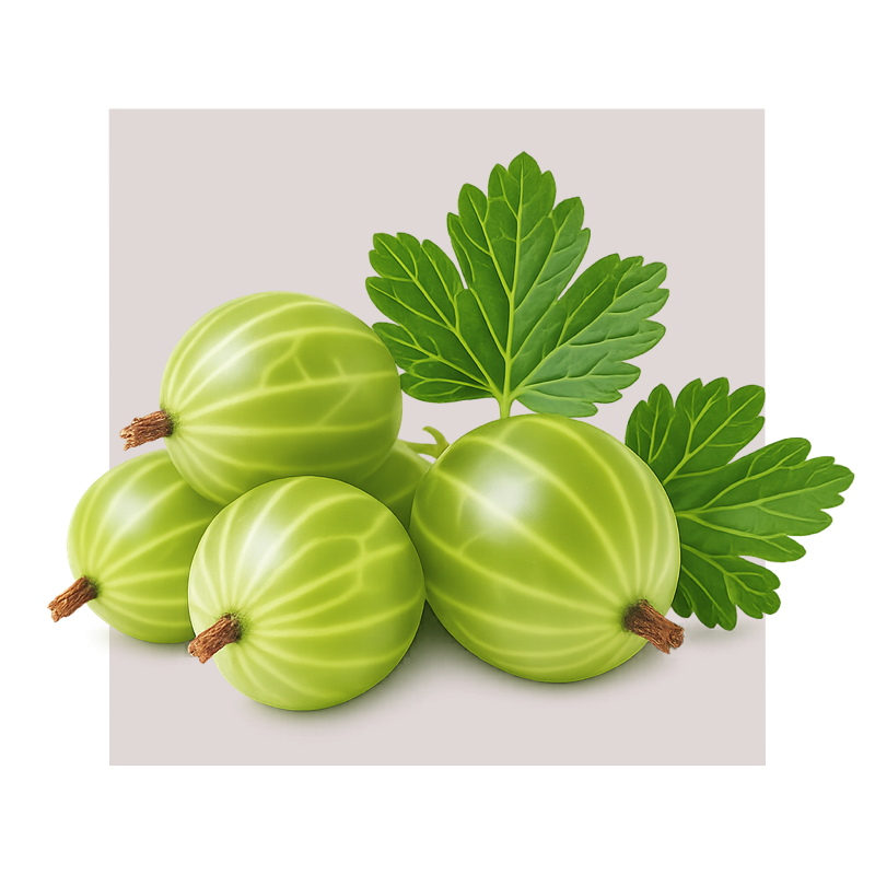 image of gooseberries