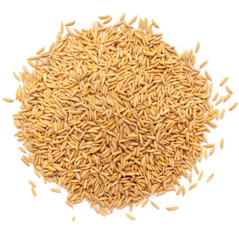 image of rice