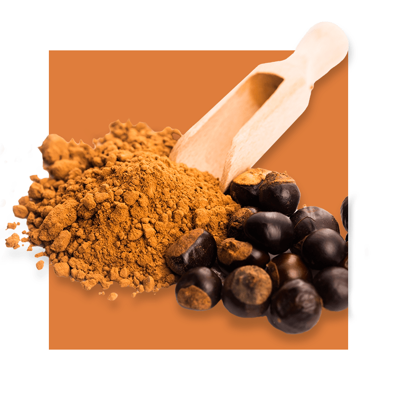 image of guarana powder