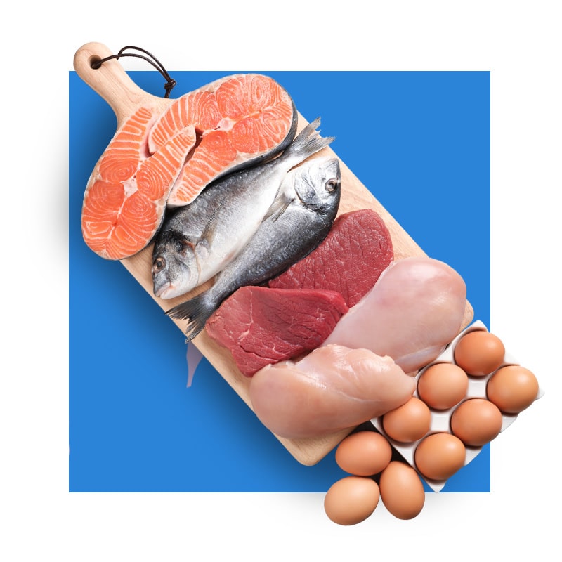 image of different types of protein