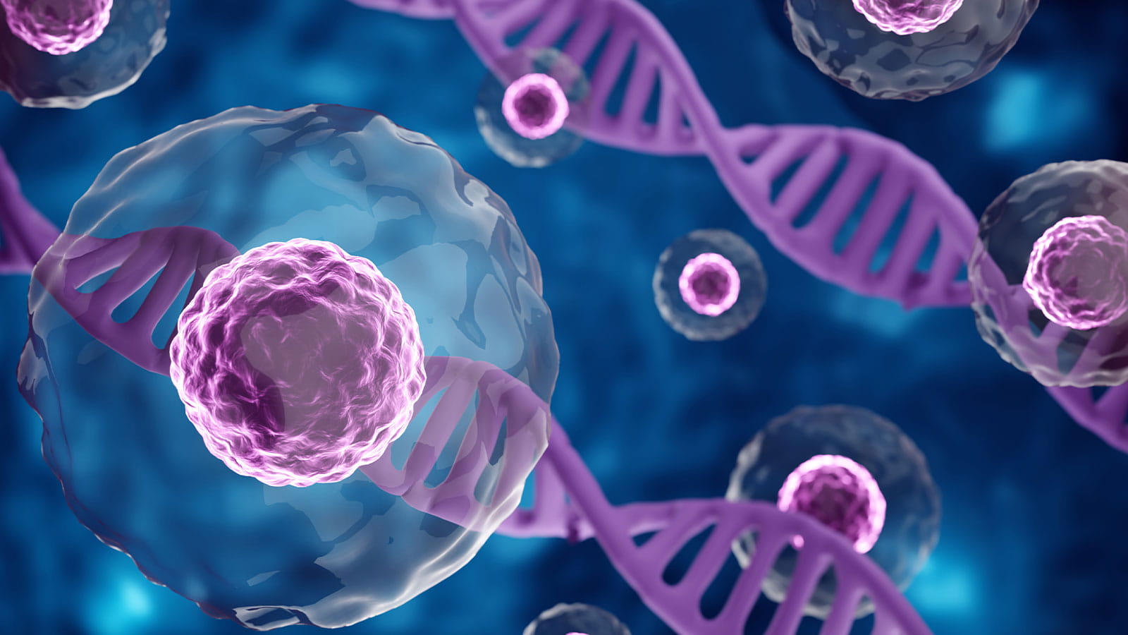 Image of cells