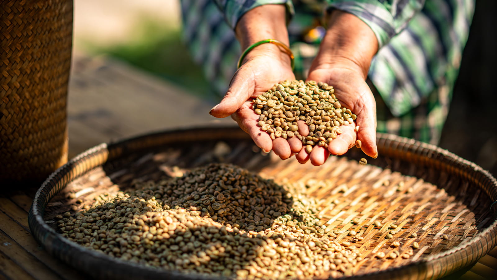 image of green coffee beans