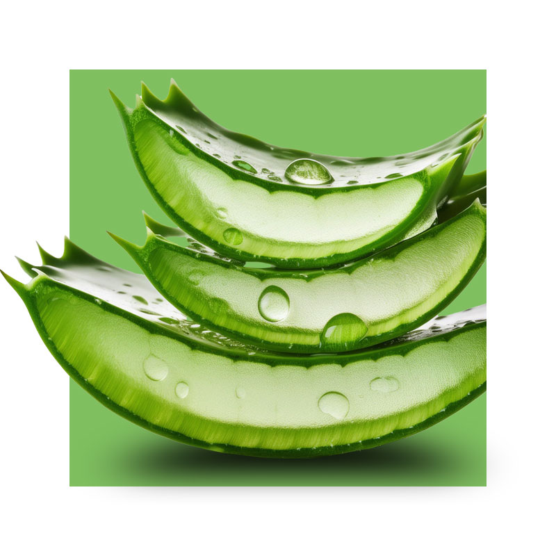 image of cut aloe leaves