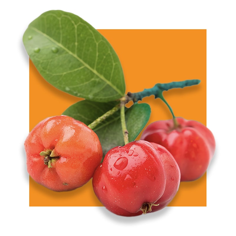 image of acerola fruit