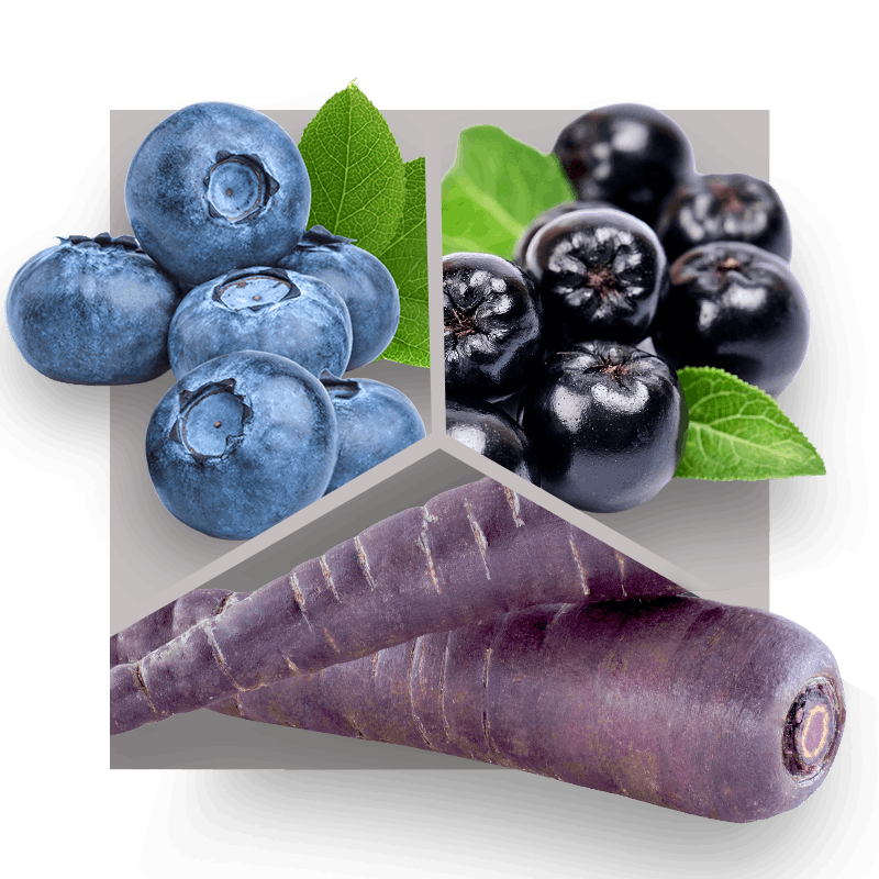 image of aronia berries, blueberries, and purple carrots